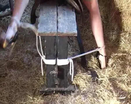 Poster: Goodbye Whore