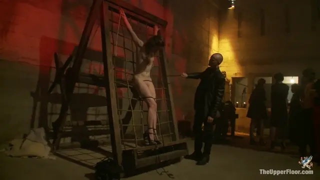 Poster: The debaucherous geminis