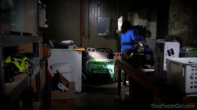 Poster: Desperate Catburglar Tina s Monster Horror