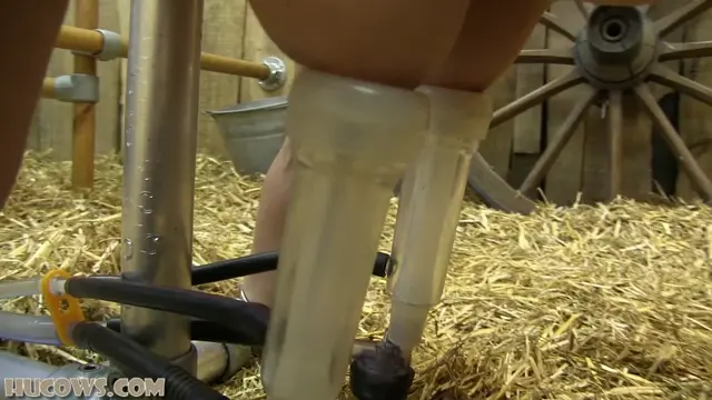 Poster: Olga fucked and sucked