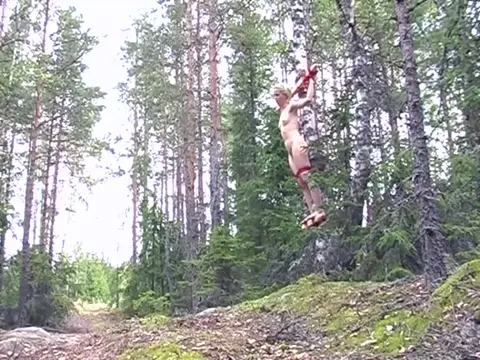 Poster: Crystal Tree Bondage Finland Nature Ropes