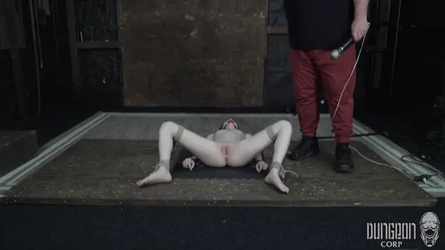 Poster: SocietySM - Small Sacrifices - Madi Collins