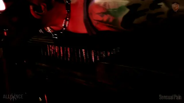 Poster: Mad Restrained Insexual Slave EroFM-006 - Abigail Dupree