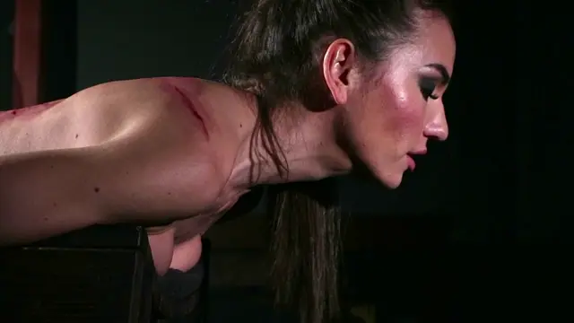 Poster: ElitePain – Wheel of Pain 26