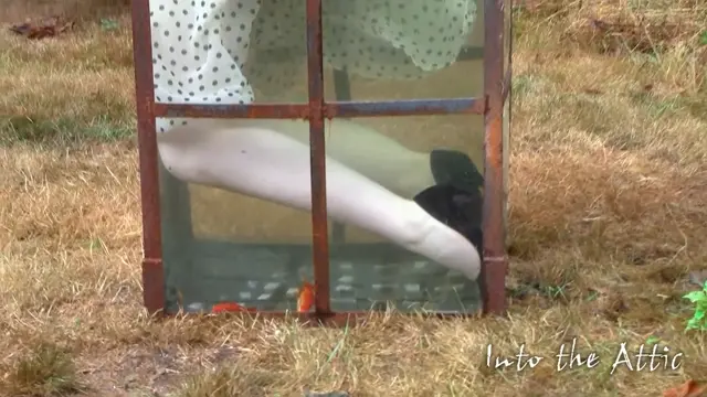 Poster: IntoTheAttic 0217 Naomi RT3-movie