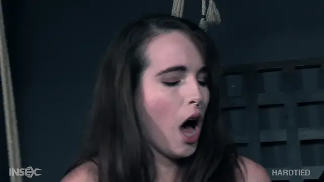 Poster: Brooke Johnson (Brooke Report / 21.11.2018)