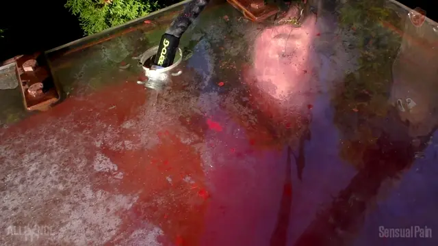 Poster: SensualPain – Oct 10, 2018 – Water Vessel Breathplay In Red | Flagerella