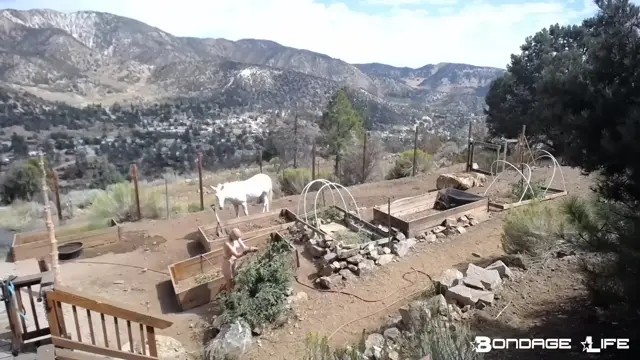 Poster: Yardwork With Greyhound