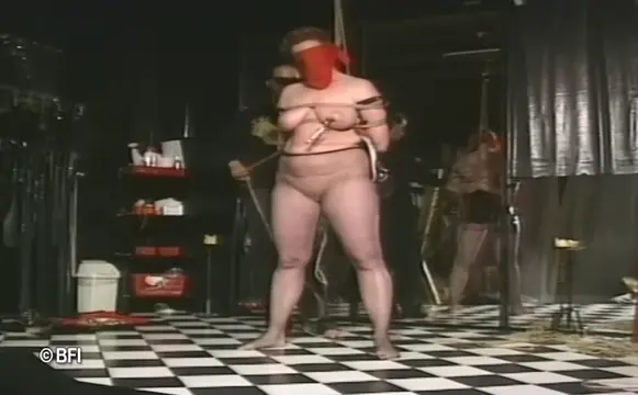 Poster: Japanese master 4 bbw pleasure