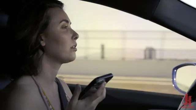 Poster: Diary Of A Madman