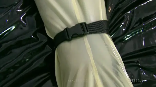 Poster: 2008-01-22 The Bodybag #2