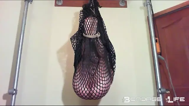 Poster: Net (2017) - Rachel Greyhound - 5/28/2025