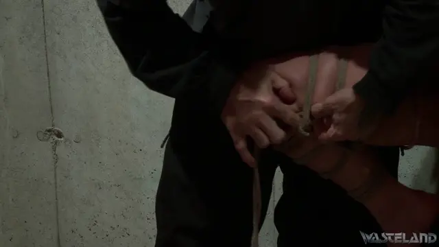 Poster: Violet Sky and Shadrack Stargazer