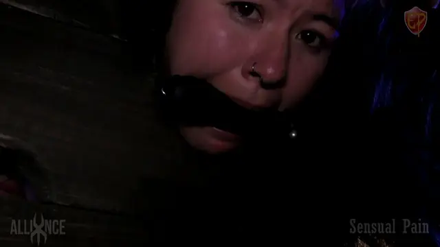 Poster: Sensual Pain – Apr 11, 2018: Pillory Interrogation | Tess Dagger | Master James