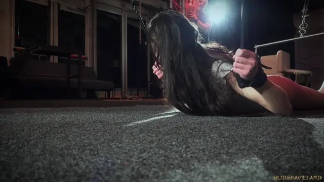 Poster: Arwen Gold - Favourite Play Toy