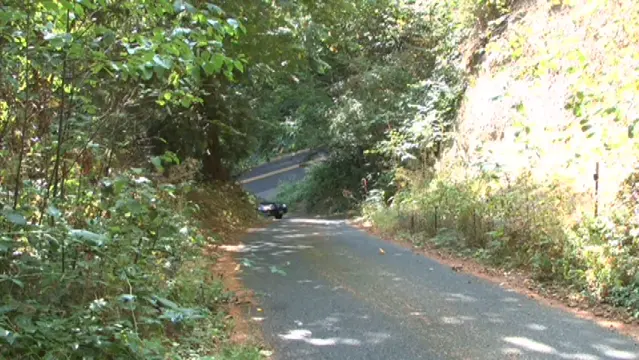 Poster: Gord Slave For Sale