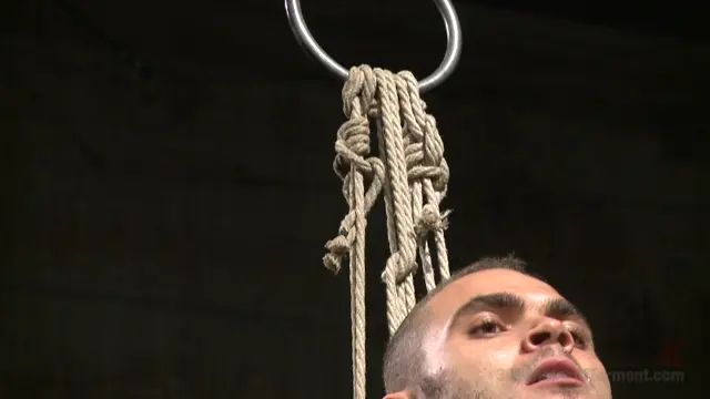 Poster: Muscled stud Brock Avery Tormented and Fucked