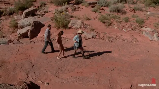 Poster: FEATURE SHOOT Hitchhiker In Trouble