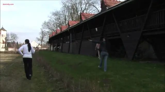 Poster: Whipping by Domina Dante Posh and Mistress Roberta And Mistress Sable