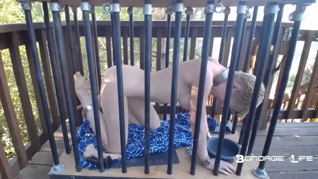 Poster: Bondage Life – Cage Time For Greyhound (Chat Edition)