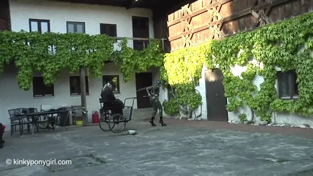 Poster: Three Ponies-3