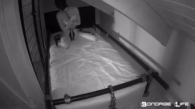 Poster: BondageLife – Restless Greyhound – Restless Greyhound