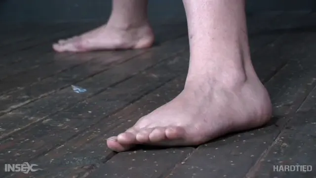 Poster: Hardtied – May 6, 2020 – Persecuted Pussy