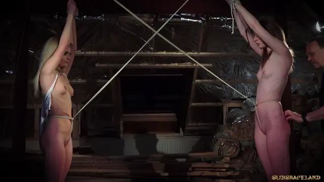 Poster: Double Shades Of Domination