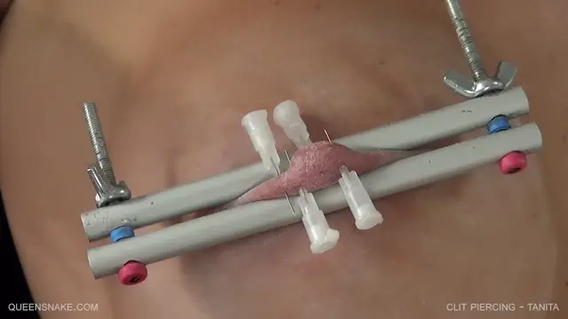 Poster: Clit Piercing - Tanita Queensnake 1 280