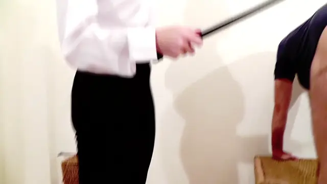 Poster: Cruelty to horses