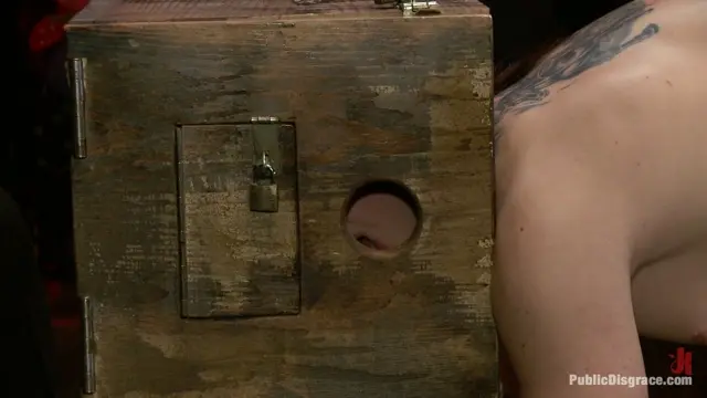 Poster: Beautiful Brunette Reduced to a Three Holed Whore