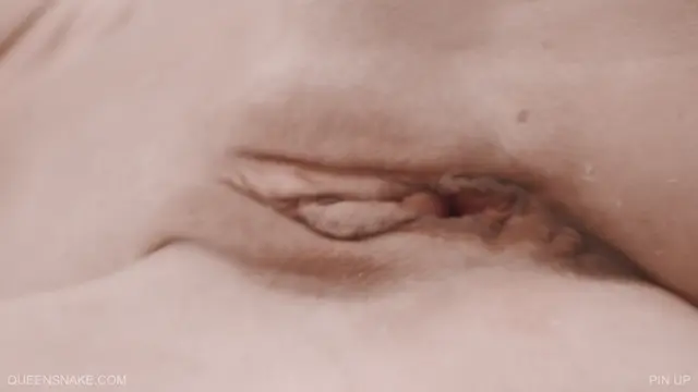 Poster: Queensnake – PIN UP 2021 October 9