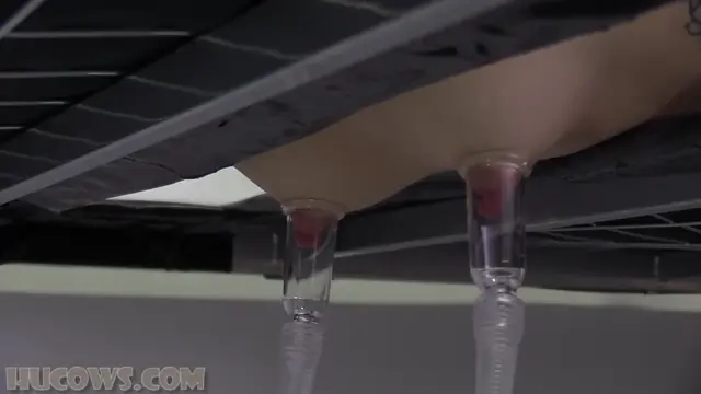 Poster: Hucows – Dina Ket – tiny HuCow pet