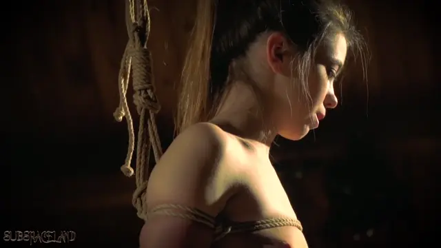 Poster: Hot and hardcore bdsm fuck for teen!?