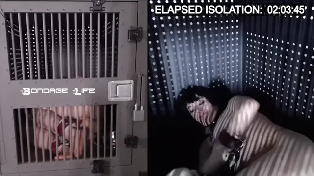 Poster: Lita In Isolation (5 Hour)