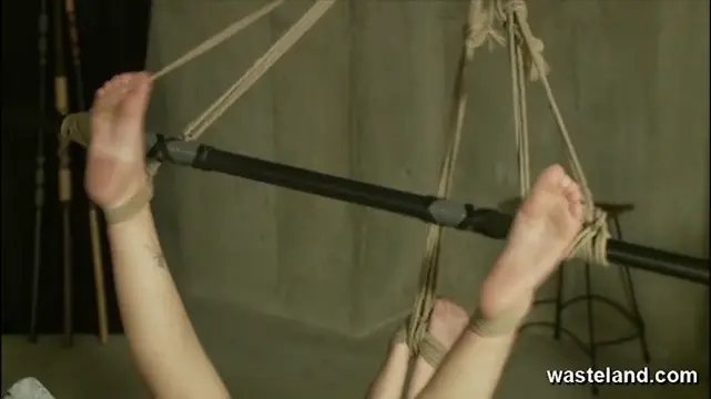 Poster: Torrid technological tit shakingasm experiences