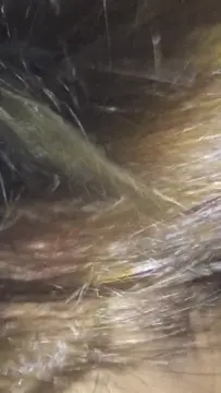 Poster: xxx video 7 Ass Fucking In Kitchen For Petite Brunette - tiktok porn - blowjob porn hardcore spanking