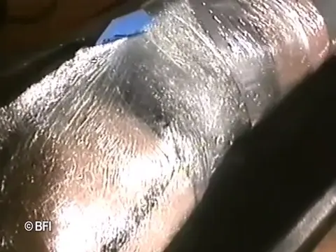 Poster: Caught in a spiders web