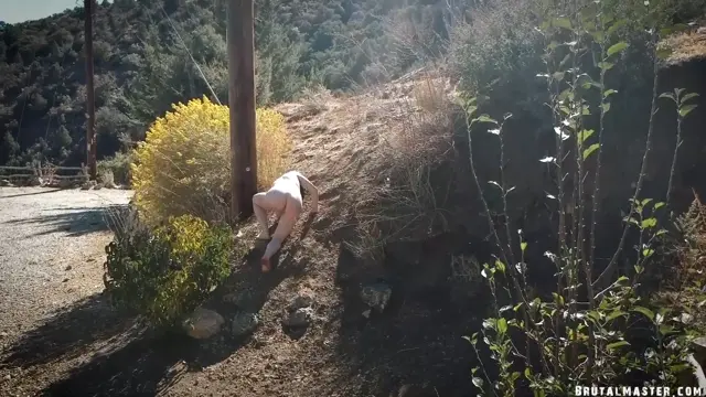 Poster: LIta Lecherous - The Pear Of Anguish