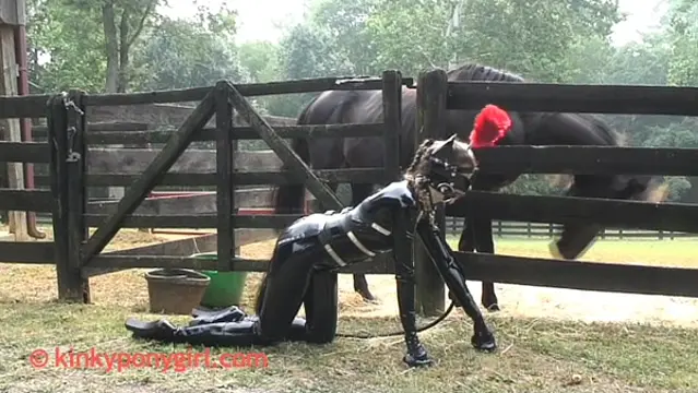 Poster: KinPonGir PonygirlBarn 2