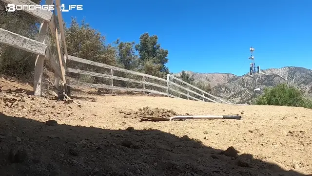 Poster: Workin In The Dirt