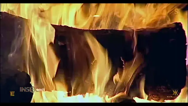 Poster: Turkey Shoot