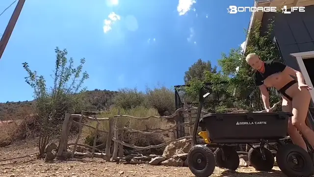 Poster: BondageLife - Lets Move Some Rocks Rachel Greyhound