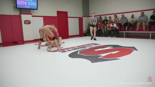 Poster: Tag Team Tournament Finale