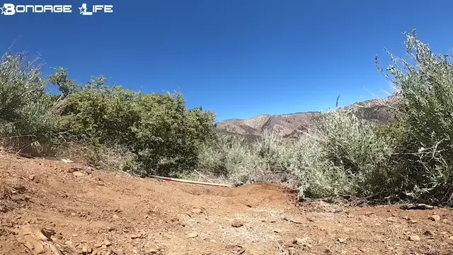 Poster: Bondage Life – Greyhound Breaks Ground – Rachel Greyhound