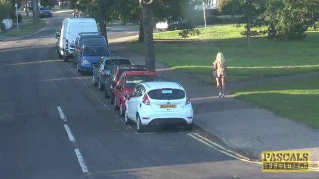 Poster: Cindy: outtakes