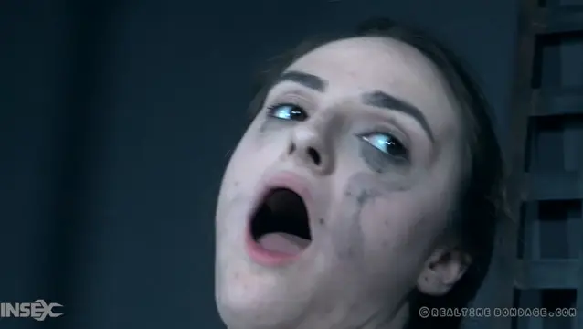 Poster: The orifice Part 3