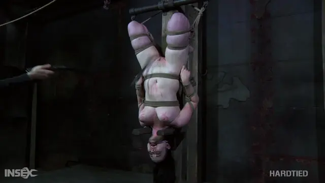 Poster: HARDTIED: Jul 1, 2020: Trained | Sybil Hawthorne BDSM