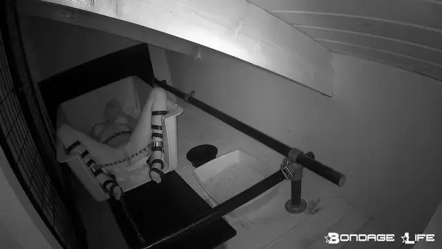 Poster: Bondage Life Rachel Greyhound: Quiet Time (Extended Edition) (Release date: Jan. 25, 2021) Bondage