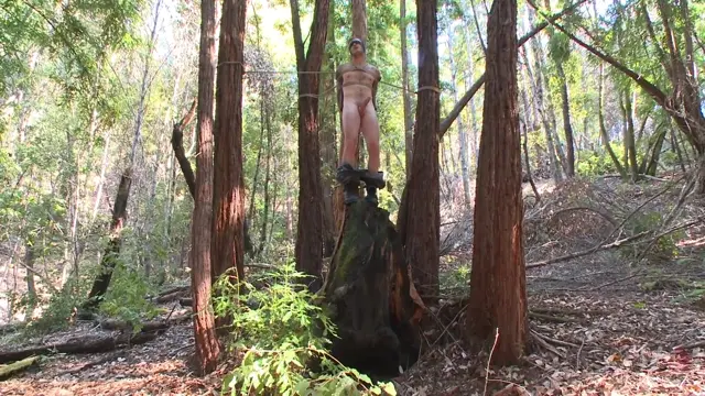 Poster: Bound Christian Wilde begs to cum in the woods